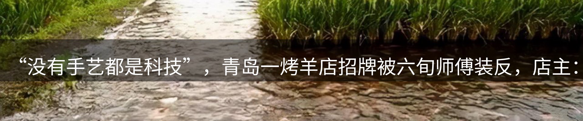 焦点解读