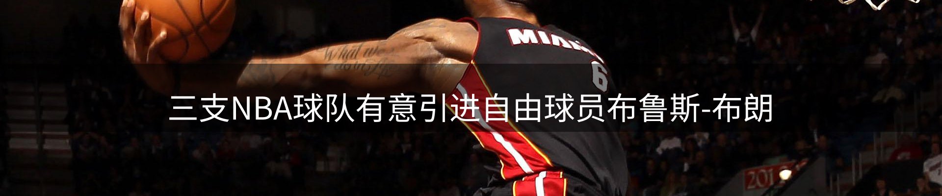 焦点解读