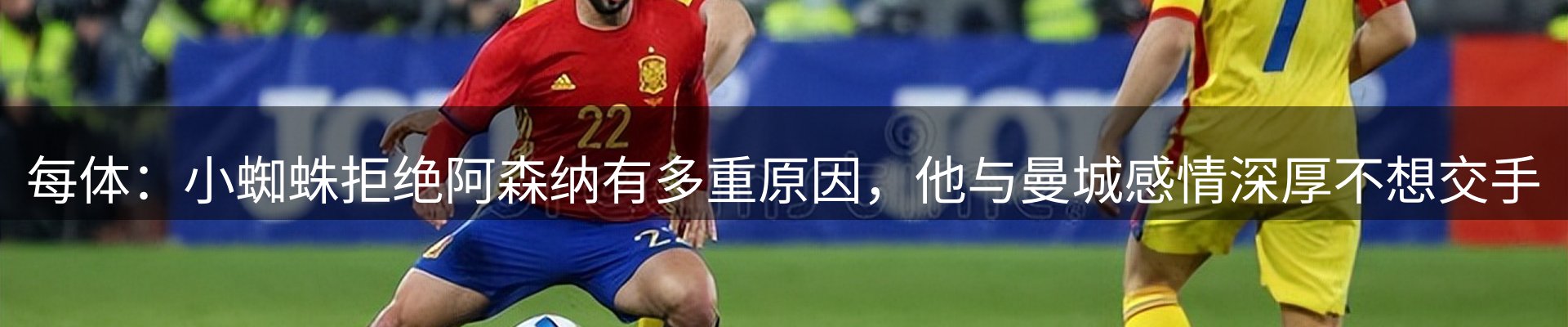 焦点解读